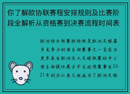 你了解欧协联赛程安排规则及比赛阶段全解析从资格赛到决赛流程时间表详解